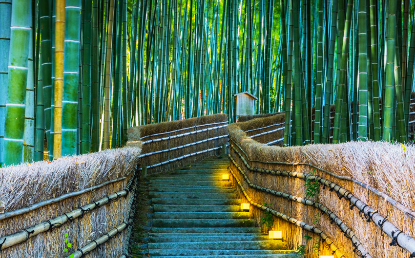 竹林步道